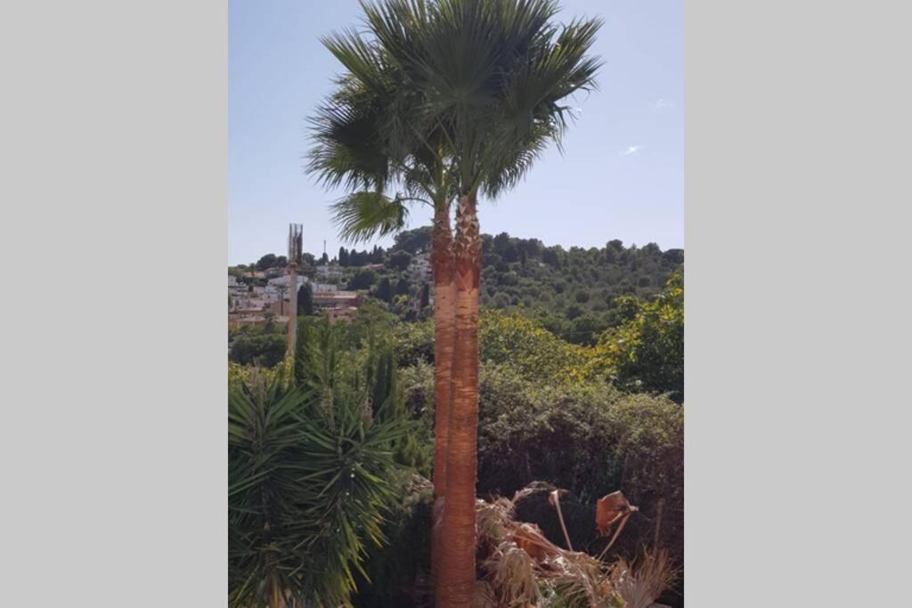דירות טורמולינוס Casa Rustica מראה חיצוני תמונה